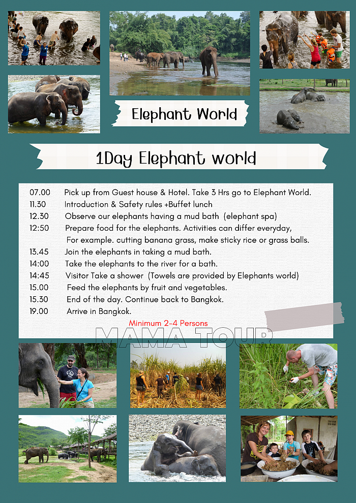 Elephant world